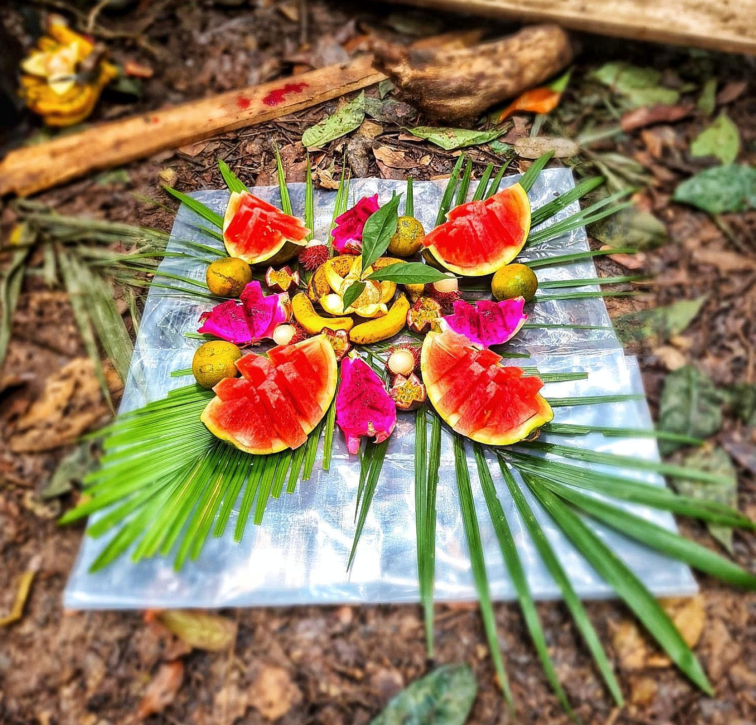בוקיט לוואנג Batu Kapal Guest House & Jungle Trekking מראה חיצוני תמונה