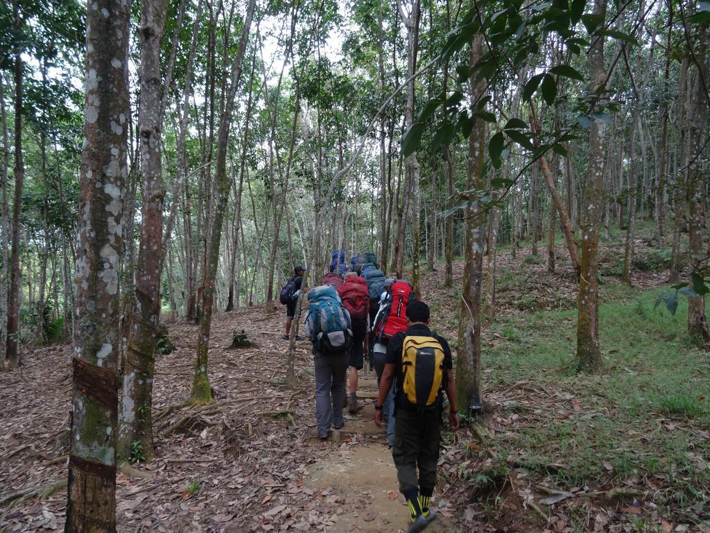 בוקיט לוואנג Batu Kapal Guest House & Jungle Trekking מראה חיצוני תמונה